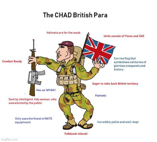 So we stocked our ships full of British beer and bullets, we mobilised the Navy and we called up the Marines. | image tagged in memes,virgin vs chad,falklands war,united kingdom,royal marine commandos | made w/ Imgflip meme maker