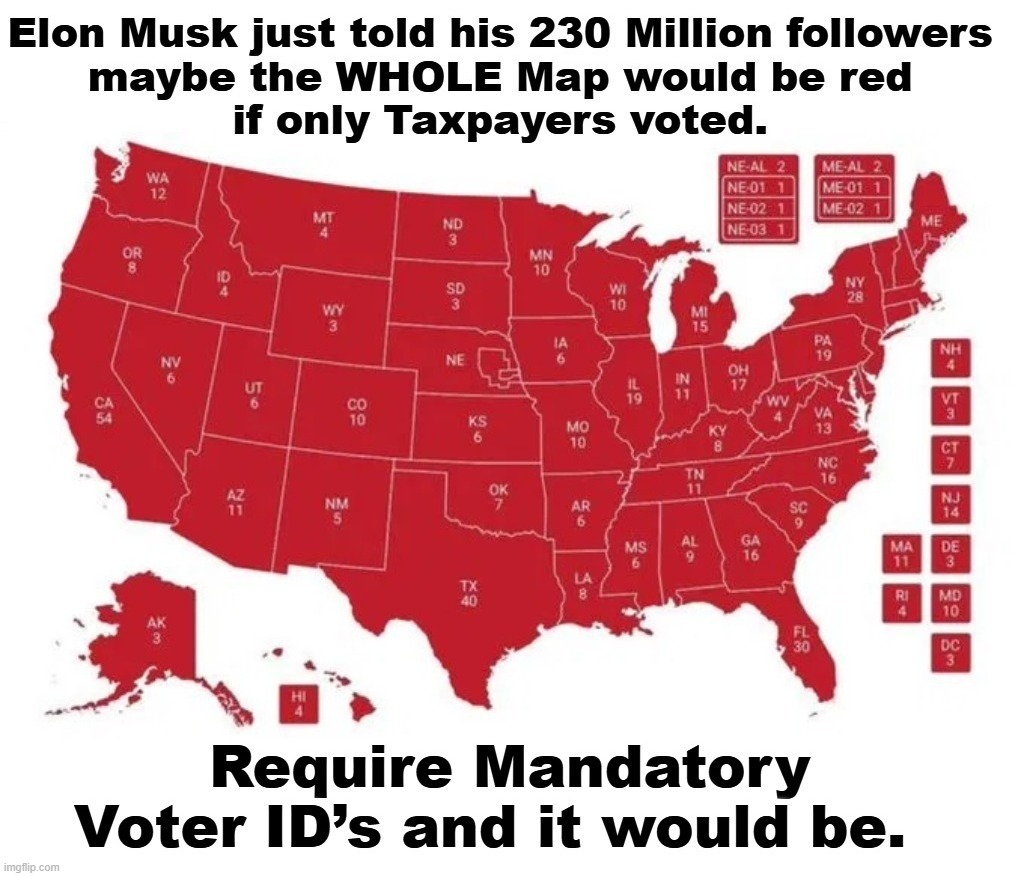 Elon Musk just told his 230 Million followers maybe the WHOLE Map would be red if only Taxpayers voted. | image tagged in voters,voting rights,taxpayers,voter id,voter fraud,clinton corruption | made w/ Imgflip meme maker