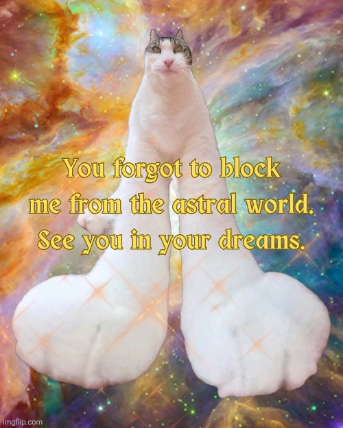Sweet dreamz are made of deez (nutz) | image tagged in memes,cats | made w/ Imgflip meme maker