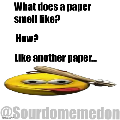 The paper meme | image tagged in memes,meme,paper,toilet paper,dumb | made w/ Imgflip meme maker