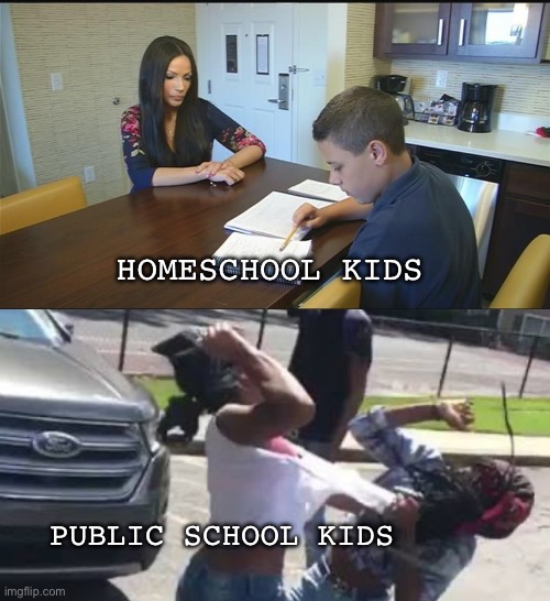 Idk bruh | HOMESCHOOL KIDS; PUBLIC SCHOOL KIDS | image tagged in homeschool in america,idk,school,memes | made w/ Imgflip meme maker