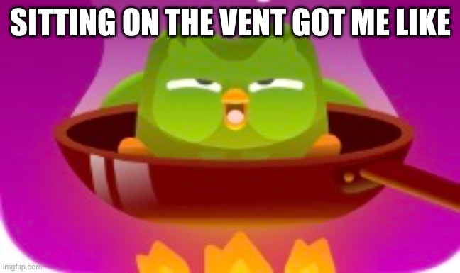 it’s cold what do you want me to say | SITTING ON THE VENT GOT ME LIKE | image tagged in memes | made w/ Imgflip meme maker