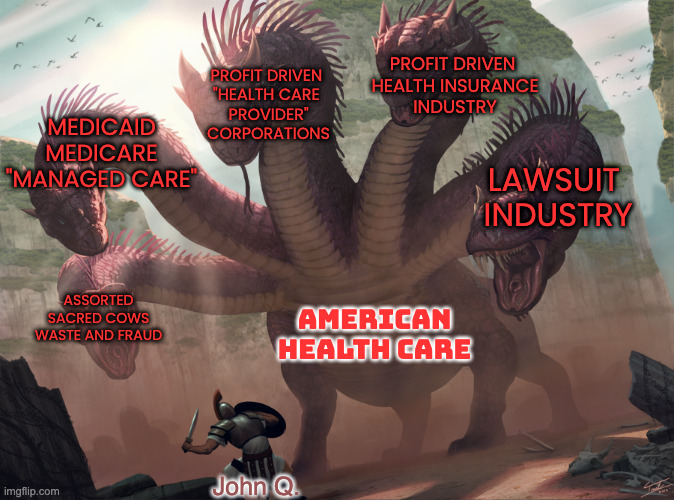 hydra | AMERICAN 
HEALTH CARE PROFIT DRIVEN 
"HEALTH CARE 
PROVIDER"
CORPORATIONS PROFIT DRIVEN 
HEALTH INSURANCE
INDUSTRY LAWSUIT 
INDUSTRY MEDICAI | image tagged in hydra | made w/ Imgflip meme maker