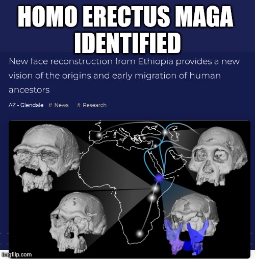 Homo erectus MAGA | HOMO ERECTUS MAGA 
IDENTIFIED | image tagged in homo maga,maga | made w/ Imgflip meme maker