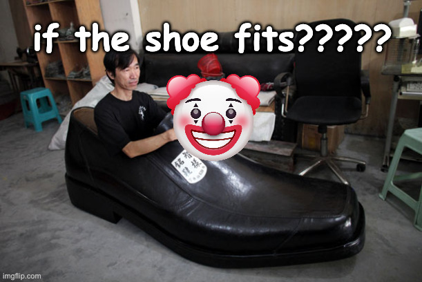 Big Shoes To Fill | if the shoe fits????? | image tagged in big shoes to fill | made w/ Imgflip meme maker