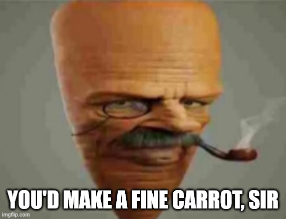 carrot smoking pipe | YOU'D MAKE A FINE CARROT, SIR | image tagged in carrot smoking pipe | made w/ Imgflip meme maker