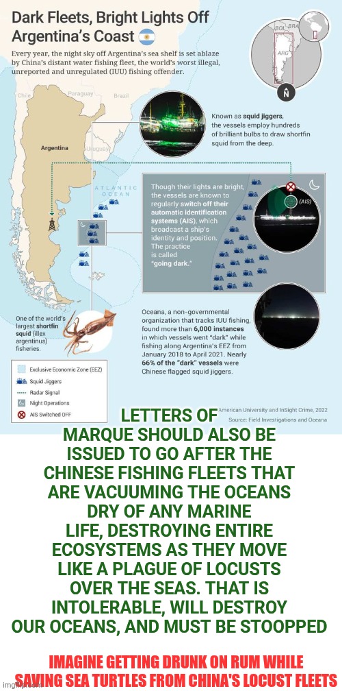 Imagine getting drunk on rum while saving sea turtles from China's locust fleets | LETTERS OF MARQUE SHOULD ALSO BE ISSUED TO GO AFTER THE CHINESE FISHING FLEETS THAT ARE VACUUMING THE OCEANS DRY OF ANY MARINE LIFE, DESTROYING ENTIRE ECOSYSTEMS AS THEY MOVE LIKE A PLAGUE OF LOCUSTS OVER THE SEAS. THAT IS INTOLERABLE, WILL DESTROY OUR OCEANS, AND MUST BE STOOPPED; IMAGINE GETTING DRUNK ON RUM WHILE SAVING SEA TURTLES FROM CHINA'S LOCUST FLEETS | image tagged in china,privateers,pirates,narcoterrorists,fishing,sea turtles | made w/ Imgflip meme maker