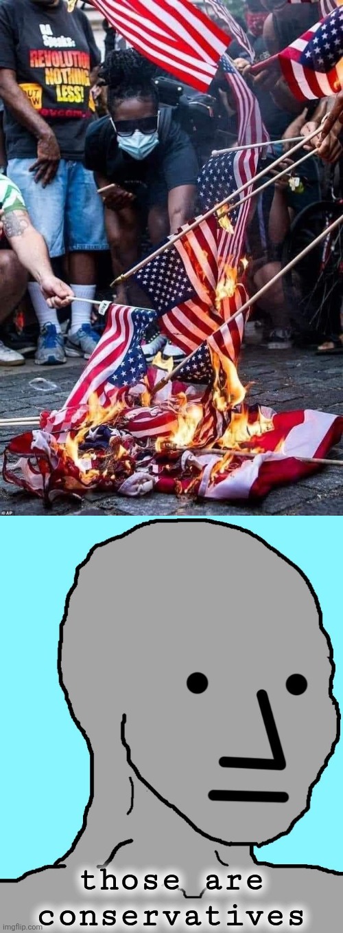 those are conservatives | image tagged in flag burners,memes,npc | made w/ Imgflip meme maker
