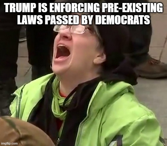 Crying liberal | TRUMP IS ENFORCING PRE-EXISTING LAWS PASSED BY DEMOCRATS | image tagged in crying liberal | made w/ Imgflip meme maker