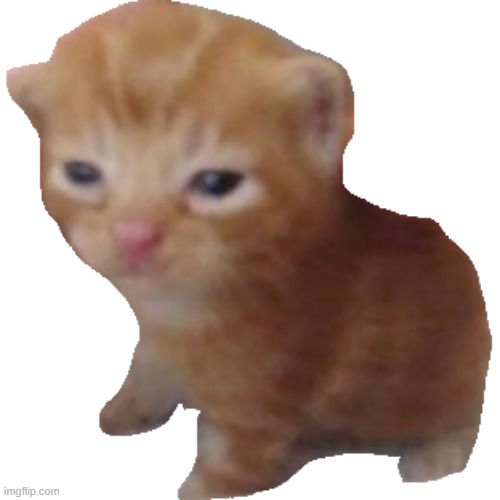 #FREEHERBERT | image tagged in herbert | made w/ Imgflip meme maker