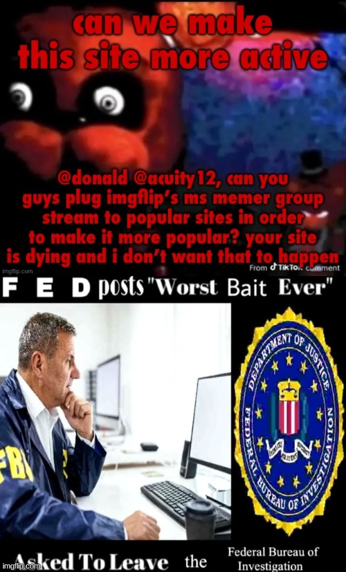 i went to imgflip's imgflip stream to look for good suggestions not idiotic rambling | image tagged in fed posts worst bait ever | made w/ Imgflip meme maker