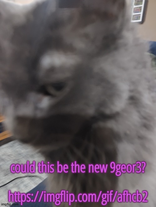 https://imgflip.com/gif/afhcb2 | could this be the new 9geor3?
 
https://imgflip.com/gif/afhcb2 | made w/ Imgflip meme maker