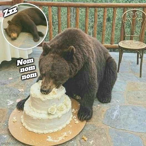 Baer eatz a cake | Zzz; Nom
 nom
 nom | image tagged in memes,wholesome animals post,sweet tooth,bear | made w/ Imgflip meme maker