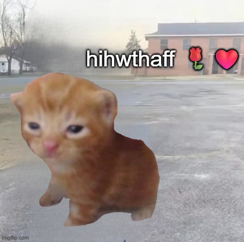 blank sybau maker | hihwthaff ?❤️ | image tagged in blank sybau maker | made w/ Imgflip meme maker