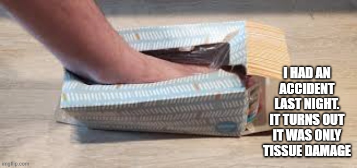 I had an accident last night. It turns out it was only tissue damage.  --  funny  -- | I HAD AN ACCIDENT LAST NIGHT. IT TURNS OUT IT WAS ONLY TISSUE DAMAGE | image tagged in funny,humor,play on words,kleenex,injury,christmas | made w/ Imgflip meme maker