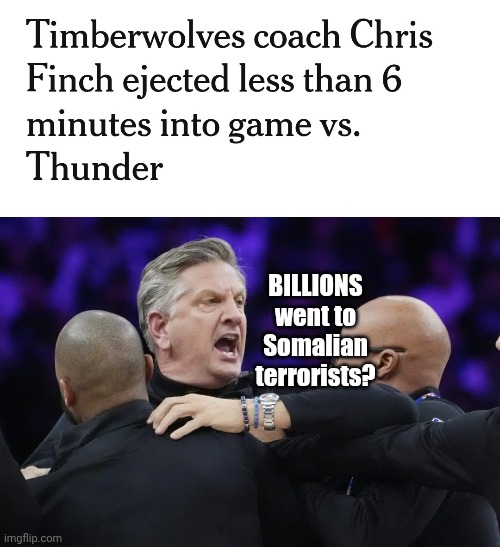 Minnesota Coach Finch Ejected After Being The Last To Hear About Minnesota's Somalian Terrorists Fraud | BILLIONS went to Somalian terrorists? | image tagged in minnesota,coach,nba memes,terrorists,africa,fraud | made w/ Imgflip meme maker