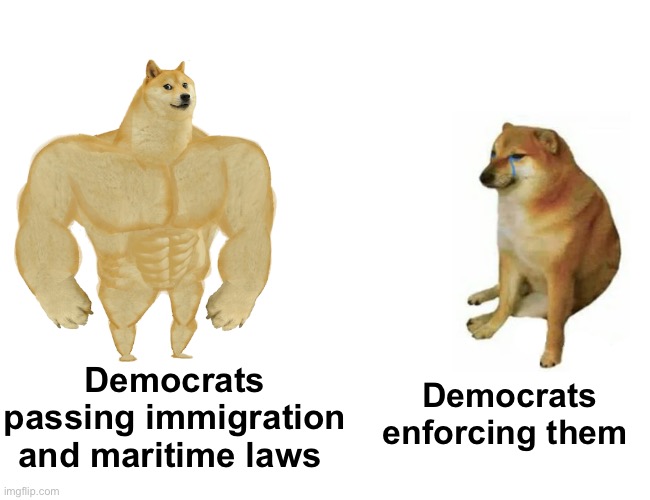 Smoke and mirrors | Democrats passing immigration and maritime laws; Democrats enforcing them | image tagged in memes,buff doge vs cheems,politics lol | made w/ Imgflip meme maker