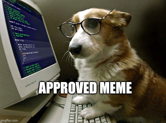 corgi hacker | APPROVED MEME | image tagged in corgi hacker | made w/ Imgflip meme maker