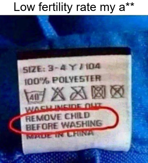 Low fertility rate my a** | image tagged in funny | made w/ Imgflip meme maker