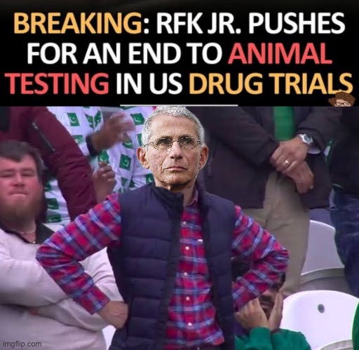 Save the beagles | image tagged in disappointed man,politics lol,memes | made w/ Imgflip meme maker