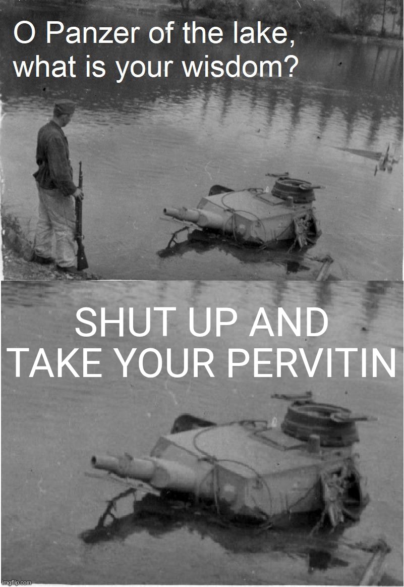 o panzer of the lake | SHUT UP AND TAKE YOUR PERVITIN | image tagged in o panzer of the lake | made w/ Imgflip meme maker