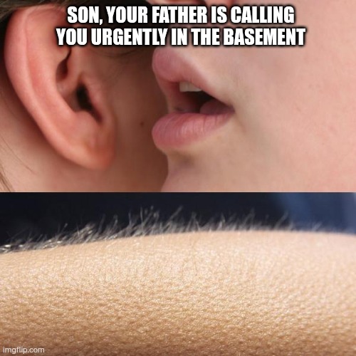 Whisper and Goosebumps | SON, YOUR FATHER IS CALLING YOU URGENTLY IN THE BASEMENT | image tagged in whisper and goosebumps | made w/ Imgflip meme maker