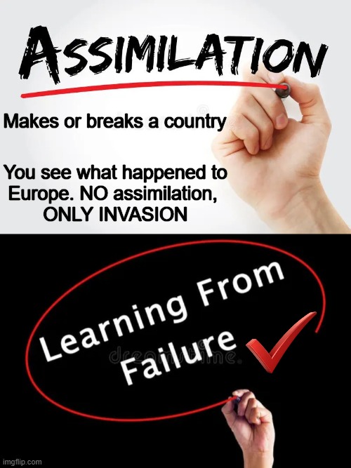 Unity of values, culture, traditions, & standards | Makes or breaks a country; You see what happened to
Europe. NO assimilation, 
ONLY INVASION | image tagged in assimilation,think about it,we live in a society,america,unity,invasion is not immigration | made w/ Imgflip meme maker