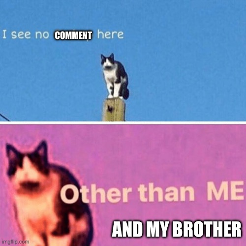 Hail pole cat | COMMENT AND MY BROTHER | image tagged in hail pole cat | made w/ Imgflip meme maker