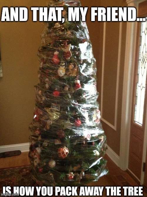 And That My Friend | AND THAT, MY FRIEND... IS HOW YOU PACK AWAY THE TREE | image tagged in chrisjoines1 | made w/ Imgflip meme maker