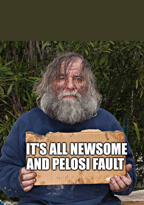 Homeless blank sign | IT'S ALL NEWSOME AND PELOSI FAULT | image tagged in homeless blank sign | made w/ Imgflip meme maker