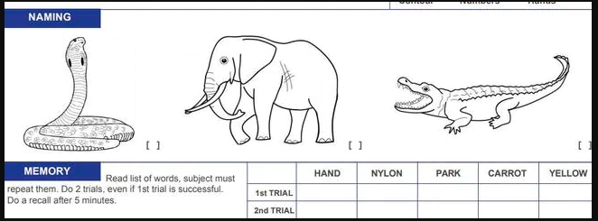 Montreal Cognitive Assessment MOCA exam Elephant Blank Meme Template
