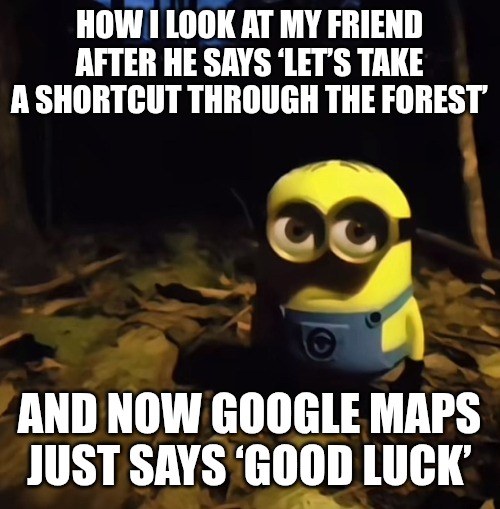 Good luck | HOW I LOOK AT MY FRIEND AFTER HE SAYS ‘LET’S TAKE A SHORTCUT THROUGH THE FOREST’; AND NOW GOOGLE MAPS JUST SAYS ‘GOOD LUCK’ | image tagged in minion in dark forest,funny,memes,google,lost | made w/ Imgflip meme maker