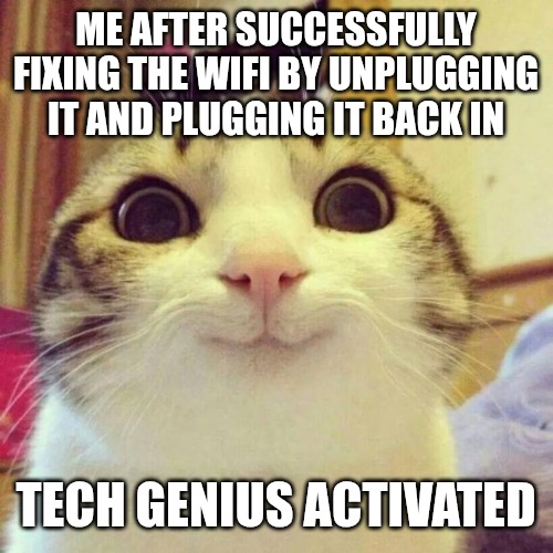 Moms 2 | ME AFTER SUCCESSFULLY FIXING THE WIFI BY UNPLUGGING IT AND PLUGGING IT BACK IN; TECH GENIUS ACTIVATED | image tagged in memes,smiling cat,funny memes,moms,genius | made w/ Imgflip meme maker