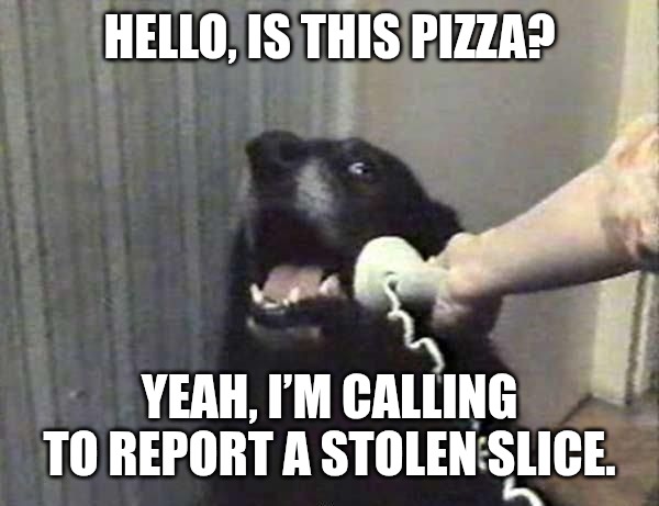 Call tha Police | HELLO, IS THIS PIZZA? YEAH, I’M CALLING TO REPORT A STOLEN SLICE. | image tagged in dog phone,police,funny,memes,pizza | made w/ Imgflip meme maker