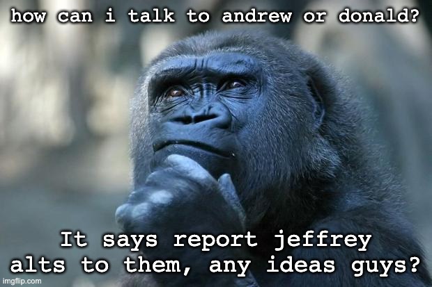 Deep Thoughts | how can i talk to andrew or donald? It says report jeffrey alts to them, any ideas guys? | image tagged in deep thoughts | made w/ Imgflip meme maker