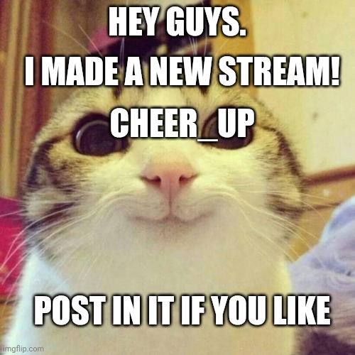 Smiling Cat Meme | I MADE A NEW STREAM! HEY GUYS. CHEER_UP; POST IN IT IF YOU LIKE | image tagged in memes,smiling cat | made w/ Imgflip meme maker