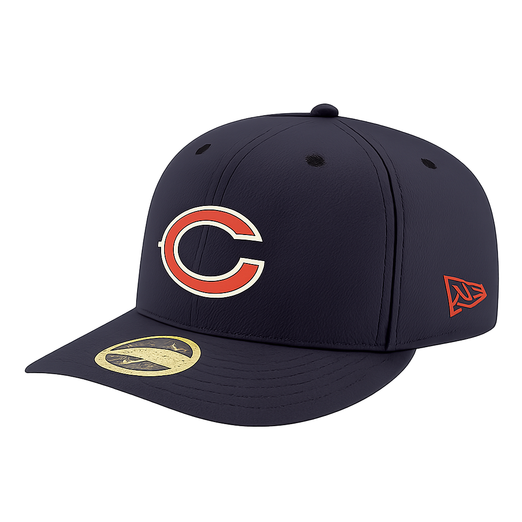 bears hat (transparent) Blank Meme Template