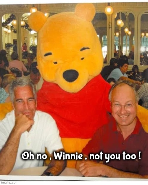 As funny as I thought it would be | Oh no , Winnie , not you too ! | image tagged in epstein,not disappointed,endless amusement,democrats democratting,evil laughter | made w/ Imgflip meme maker