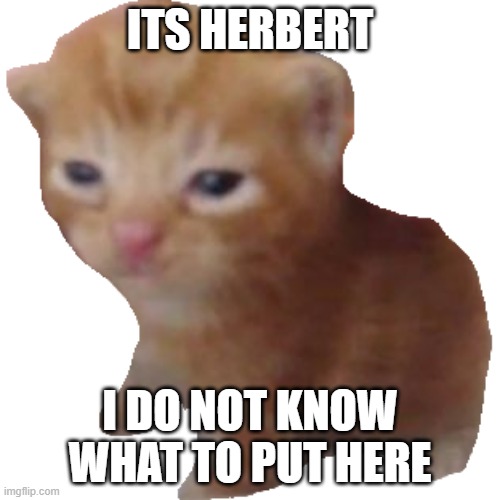 Herbert | ITS HERBERT; I DO NOT KNOW WHAT TO PUT HERE | image tagged in herbert | made w/ Imgflip meme maker