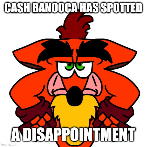 Crash Bandisapointment | CASH BANOOCA HAS SPOTTED; A DISAPPOINTMENT | image tagged in funny,crash bandicoot | made w/ Imgflip meme maker