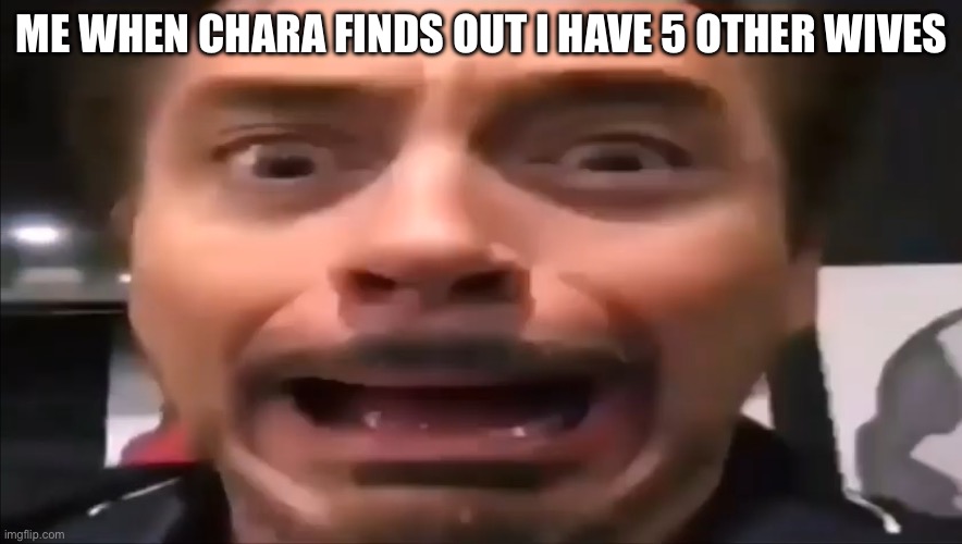 Robert Downey Jr Screaming | ME WHEN CHARA FINDS OUT I HAVE 5 OTHER WIVES | image tagged in robert downey jr screaming | made w/ Imgflip meme maker