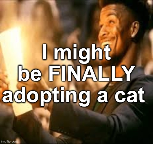 Jimmy butler happy | I might be FINALLY adopting a cat | image tagged in jimmy butler happy | made w/ Imgflip meme maker