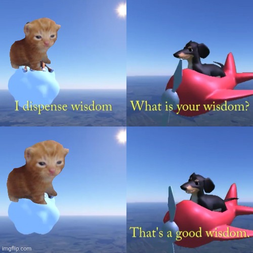 image tagged in dog of wisdom | made w/ Imgflip meme maker
