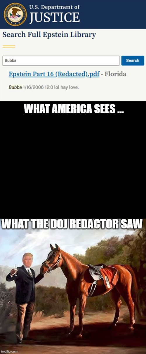 The DOJ released redacted Epstein files! Anyone surprised? | WHAT AMERICA SEES ... WHAT THE DOJ REDACTOR SAW | image tagged in donald trump,doj,epstein files,bubba | made w/ Imgflip meme maker