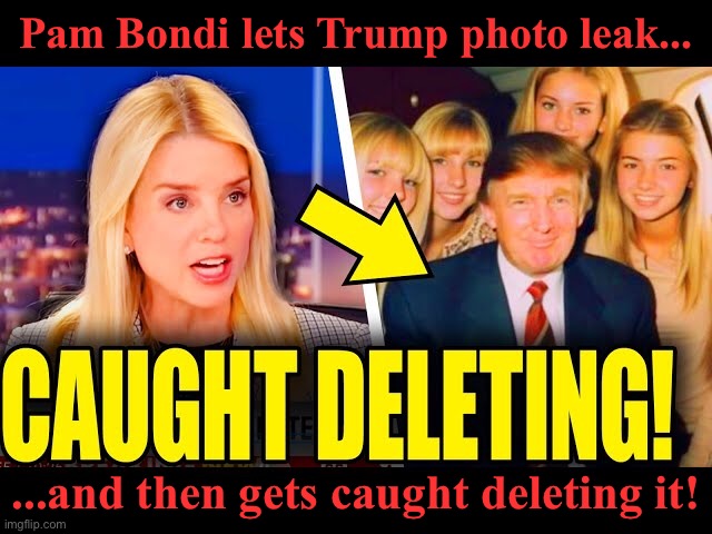 https://m.youtube.com/watch?v=Xf19ubBBNUU&pp=ugUHEgVlbi1VUw%3D%3D | Pam Bondi lets Trump photo leak... ...and then gets caught deleting it! | image tagged in pam bondi | made w/ Imgflip meme maker