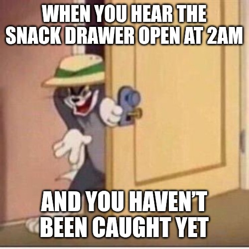 Not yet | WHEN YOU HEAR THE SNACK DRAWER OPEN AT 2AM; AND YOU HAVEN’T BEEN CAUGHT YET | image tagged in sneaky tom,funny,memes | made w/ Imgflip meme maker
