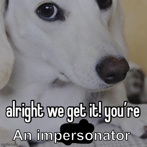 alright we get it you're gay | An impersonator | image tagged in alright we get it you're gay | made w/ Imgflip meme maker