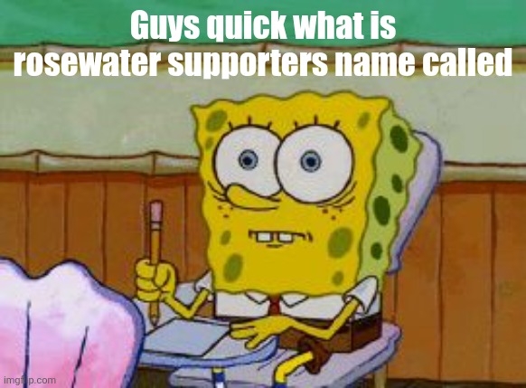 Scared Spongebob | Guys quick what is rosewater supporters name called | image tagged in scared spongebob | made w/ Imgflip meme maker