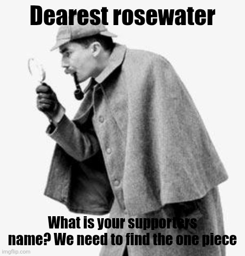 detective | Dearest rosewater; What is your supporters name? We need to find the one piece | image tagged in detective | made w/ Imgflip meme maker