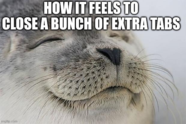 Satisfied Seal Meme | HOW IT FEELS TO CLOSE A BUNCH OF EXTRA TABS | image tagged in memes,satisfied seal,just remembered my lost meme idea | made w/ Imgflip meme maker